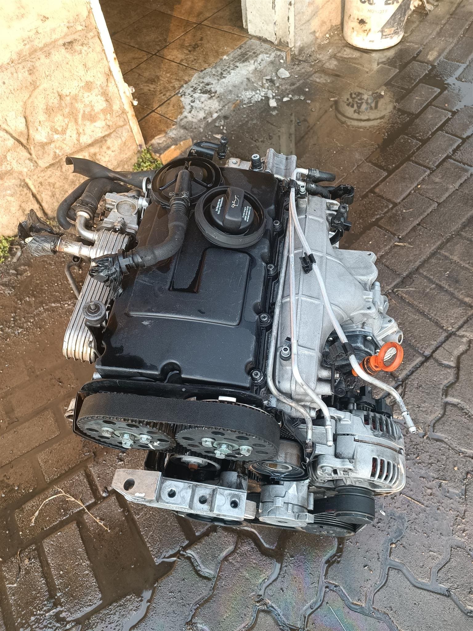 BDV V6